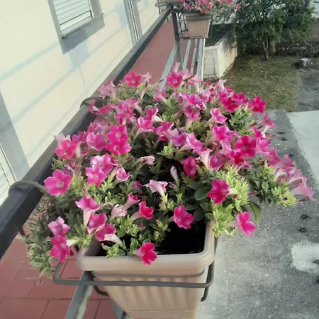 Apartment Sky&bay Plomin