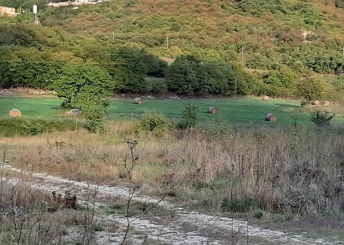 Sky&bay Διαμέρισμα Plomin