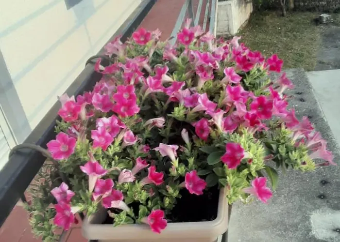 Lejlighed Sky&bay Plomin